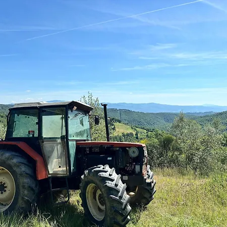 Holiday home Quaint With Pool