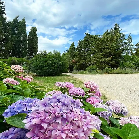 Casa vacanze Quaint With Pool