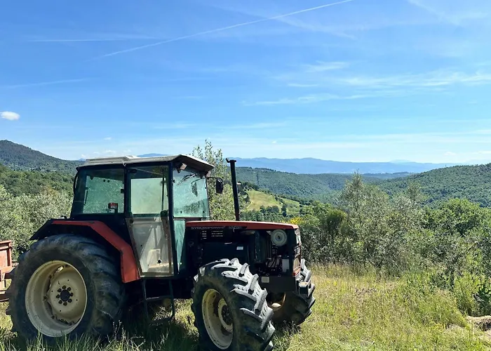 Holiday home Quaint With Pool