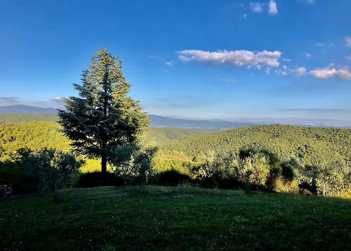 Quaint With Pool Holiday home *