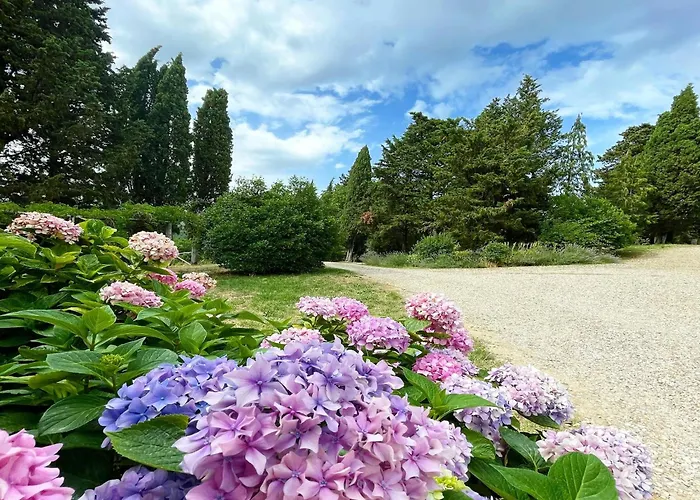 Holiday home Quaint With Pool